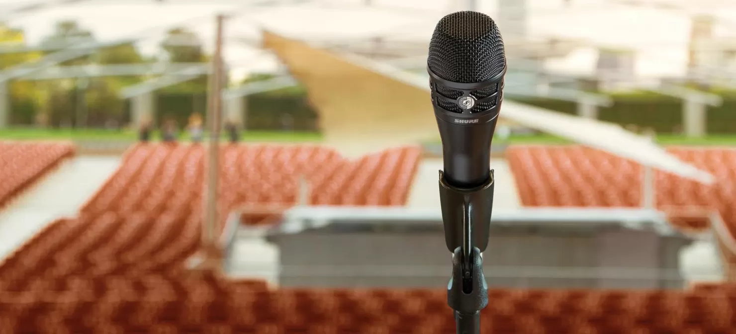 Shure KSM8 | Microphones