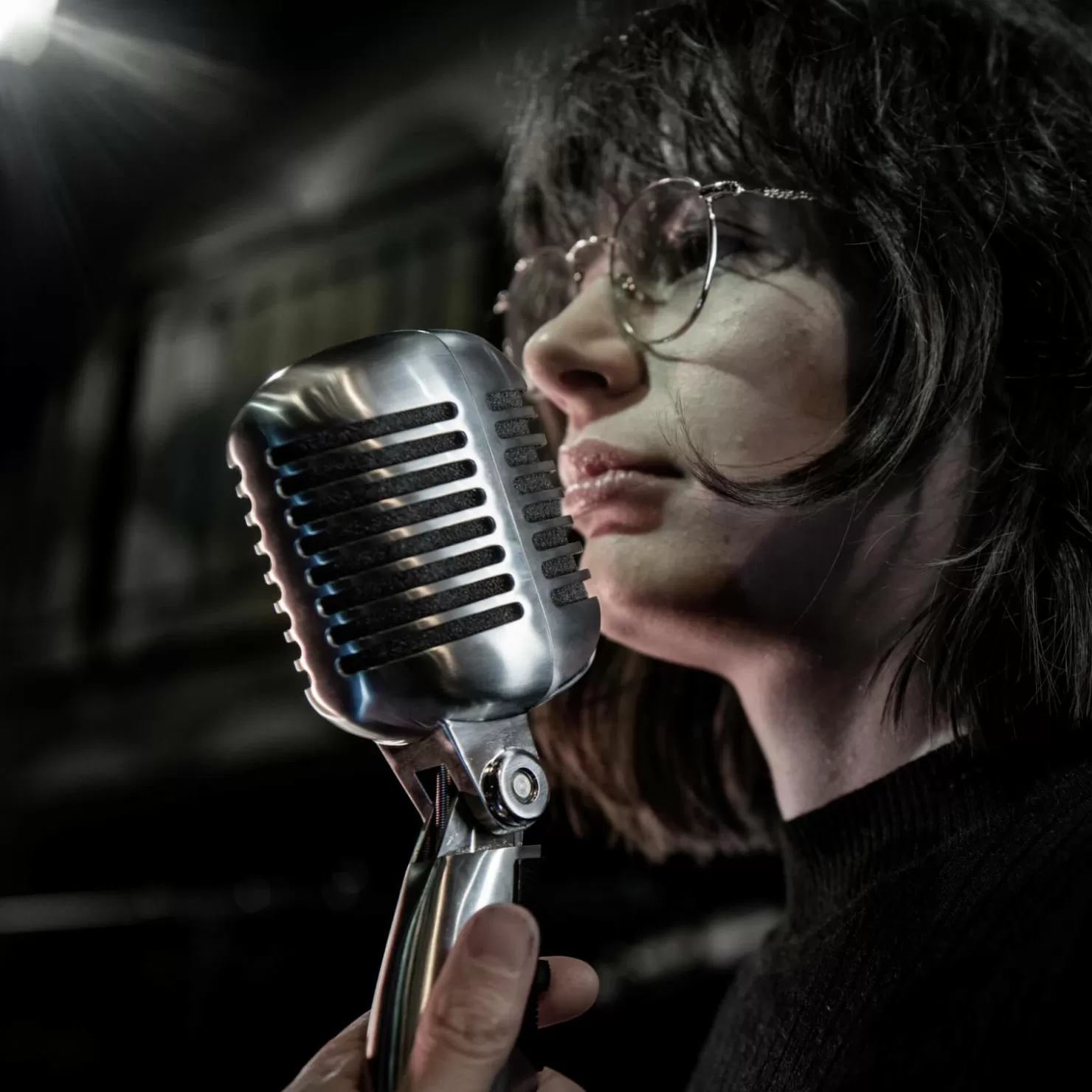 Shure 55SH Series II | Microphones